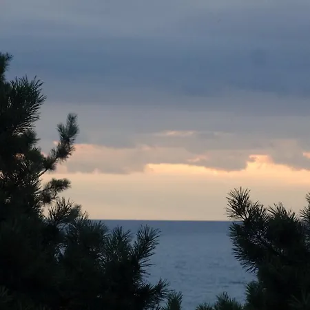 Apartament Przy Plaży Krynica Morska